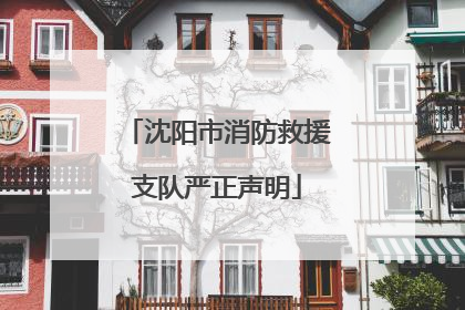 沈阳市消防救援支队严正声明