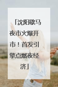 沈阳歇马夜市火爆开市！首发引擎点燃夜经济