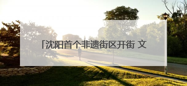 沈阳首个非遗街区开街 文旅新业态激活经济新动能
