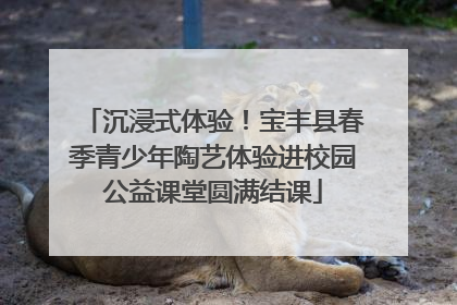 沉浸式体验！宝丰县春季青少年陶艺体验进校园公益课堂圆满结课