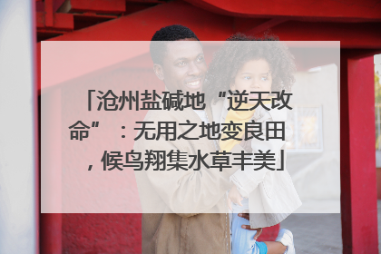 沧州盐碱地“逆天改命”：无用之地变良田，候鸟翔集水草丰美
