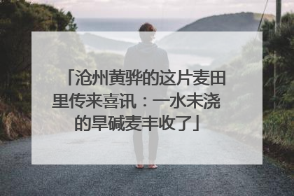 沧州黄骅的这片麦田里传来喜讯：一水未浇的旱碱麦丰收了