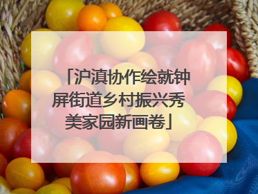 沪滇协作绘就钟屏街道乡村振兴秀美家园新画卷