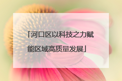 河口区以科技之力赋能区域高质量发展