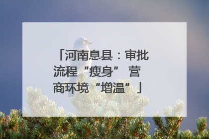 河南息县：审批流程“瘦身” 营商环境“增温”
