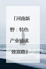 河南新野：特色产业铺就致富路