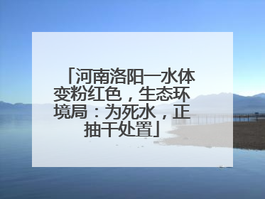 河南洛阳一水体变粉红色，生态环境局：为死水，正抽干处置