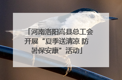 河南洛阳嵩县总工会开展“夏季送清凉 防暑保安康”活动