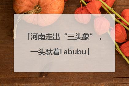 河南走出“三头象”，一头驮着Labubu