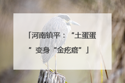 河南镇平：“土蛋蛋”变身“金疙瘩”