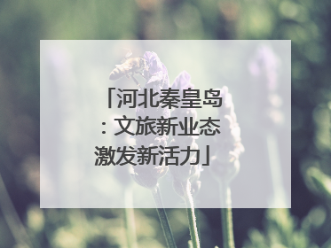 河北秦皇岛：文旅新业态激发新活力