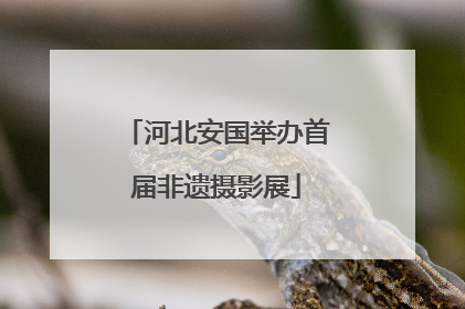 河北安国举办首届非遗摄影展