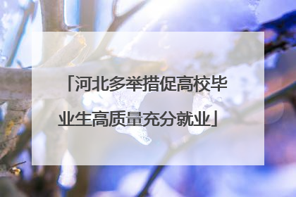 河北多举措促高校毕业生高质量充分就业