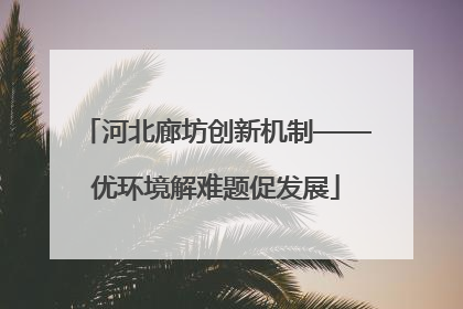 河北廊坊创新机制——优环境解难题促发展