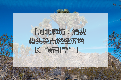河北廊坊：消费势头稳点燃经济增长“新引擎”