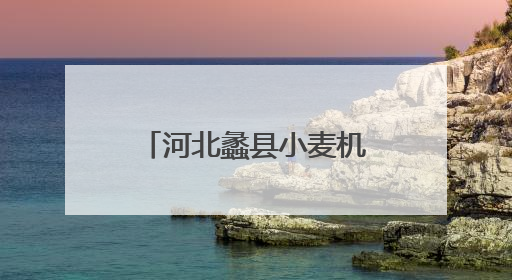 河北蠡县小麦机收率超95%
