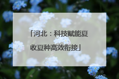 河北：科技赋能夏收夏种高效衔接