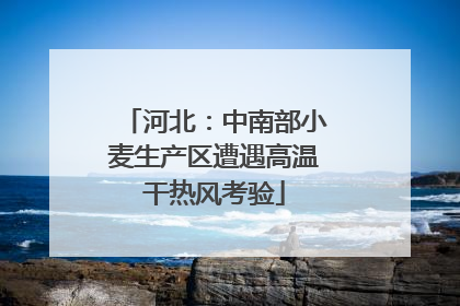 河北：中南部小麦生产区遭遇高温干热风考验