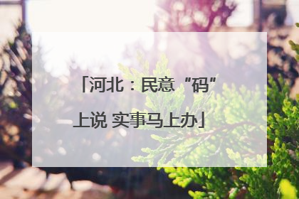 河北：民意“码”上说 实事马上办