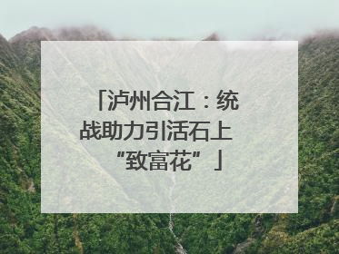 泸州合江：统战助力引活石上“致富花”