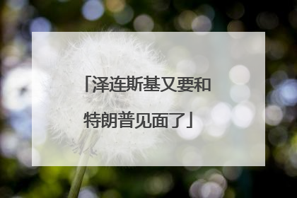 泽连斯基又要和特朗普见面了