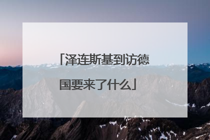 泽连斯基到访德国要来了什么