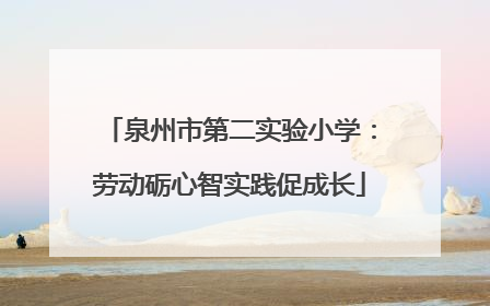 泉州市第二实验小学：劳动砺心智实践促成长