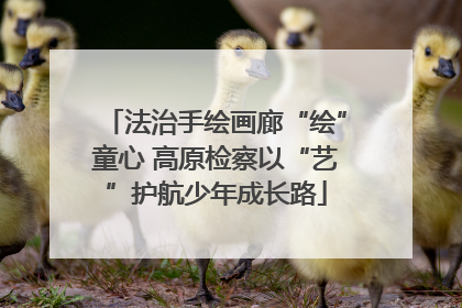 法治手绘画廊“绘”童心 高原检察以“艺”护航少年成长路