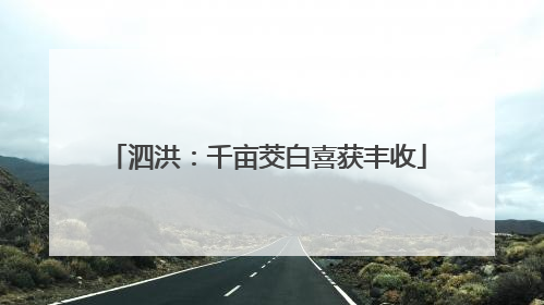 泗洪：千亩茭白喜获丰收