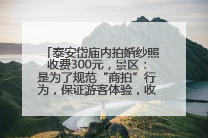 泰安岱庙内拍婚纱照收费300元，景区：是为了规范“商拍”行为，保证游客体验，收取费用全部上交国库