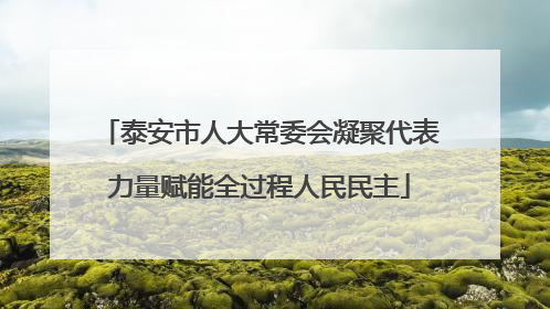 泰安市人大常委会凝聚代表力量赋能全过程人民民主