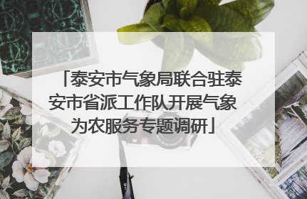 泰安市气象局联合驻泰安市省派工作队开展气象为农服务专题调研