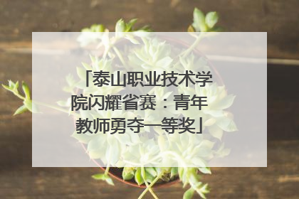 泰山职业技术学院闪耀省赛：青年教师勇夺一等奖