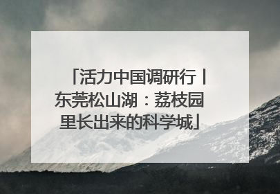 活力中国调研行丨东莞松山湖：荔枝园里长出来的科学城