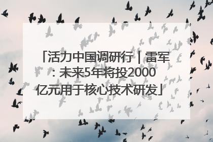 活力中国调研行｜雷军：未来5年将投2000亿元用于核心技术研发