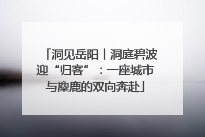 洞见岳阳丨洞庭碧波迎“归客”：一座城市与麋鹿的双向奔赴