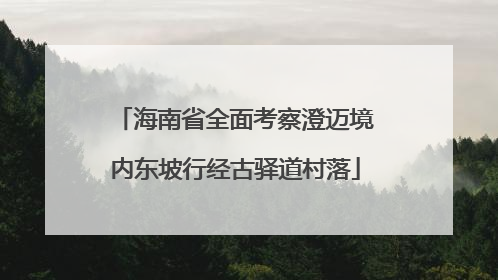 海南省全面考察澄迈境内东坡行经古驿道村落