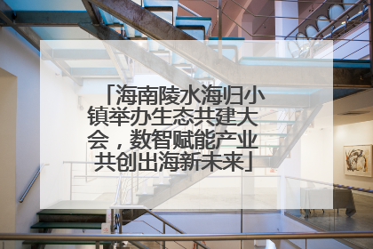 海南陵水海归小镇举办生态共建大会，数智赋能产业共创出海新未来