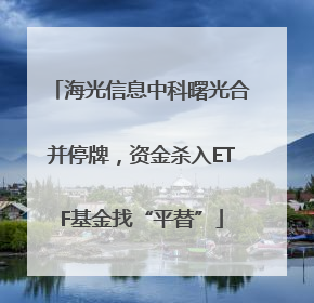 海光信息中科曙光合并停牌，资金杀入ETF基金找“平替”