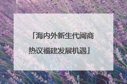 海内外新生代闽商热议福建发展机遇
