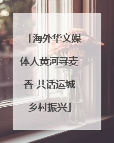 海外华文媒体人黄河寻麦香 共话运城乡村振兴