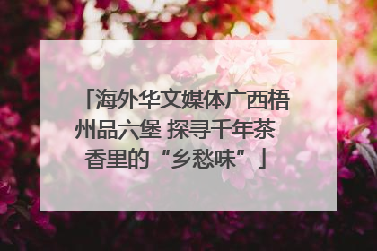 海外华文媒体广西梧州品六堡 探寻千年茶香里的“乡愁味”