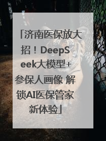 济南医保放大招！DeepSeek大模型+参保人画像 解锁AI医保管家新体验