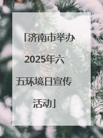 济南市举办2025年六五环境日宣传活动