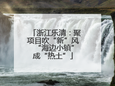 浙江乐清：聚项目吹“新”风 “海边小镇”成“热土”