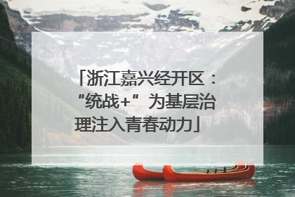 浙江嘉兴经开区：“统战+”为基层治理注入青春动力
