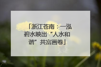 浙江苍南：一泓碧水映出“人水和谐”共富画卷