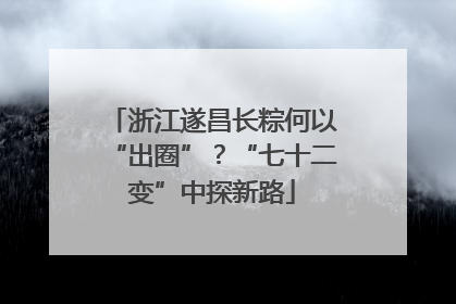浙江遂昌长粽何以“出圈”？“七十二变”中探新路
