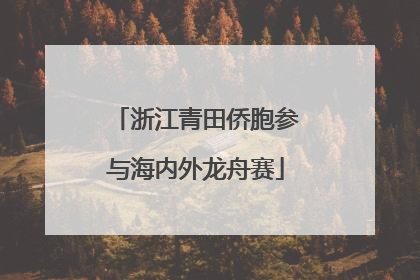 浙江青田侨胞参与海内外龙舟赛