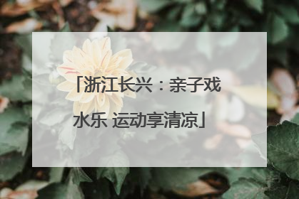 浙江长兴：亲子戏水乐 运动享清凉